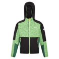 thumbnail image 1 of Regatta - Forro Polar Dissolver VII para Niños/Niñas (Verde Jasmín, Negro), 1 of 4