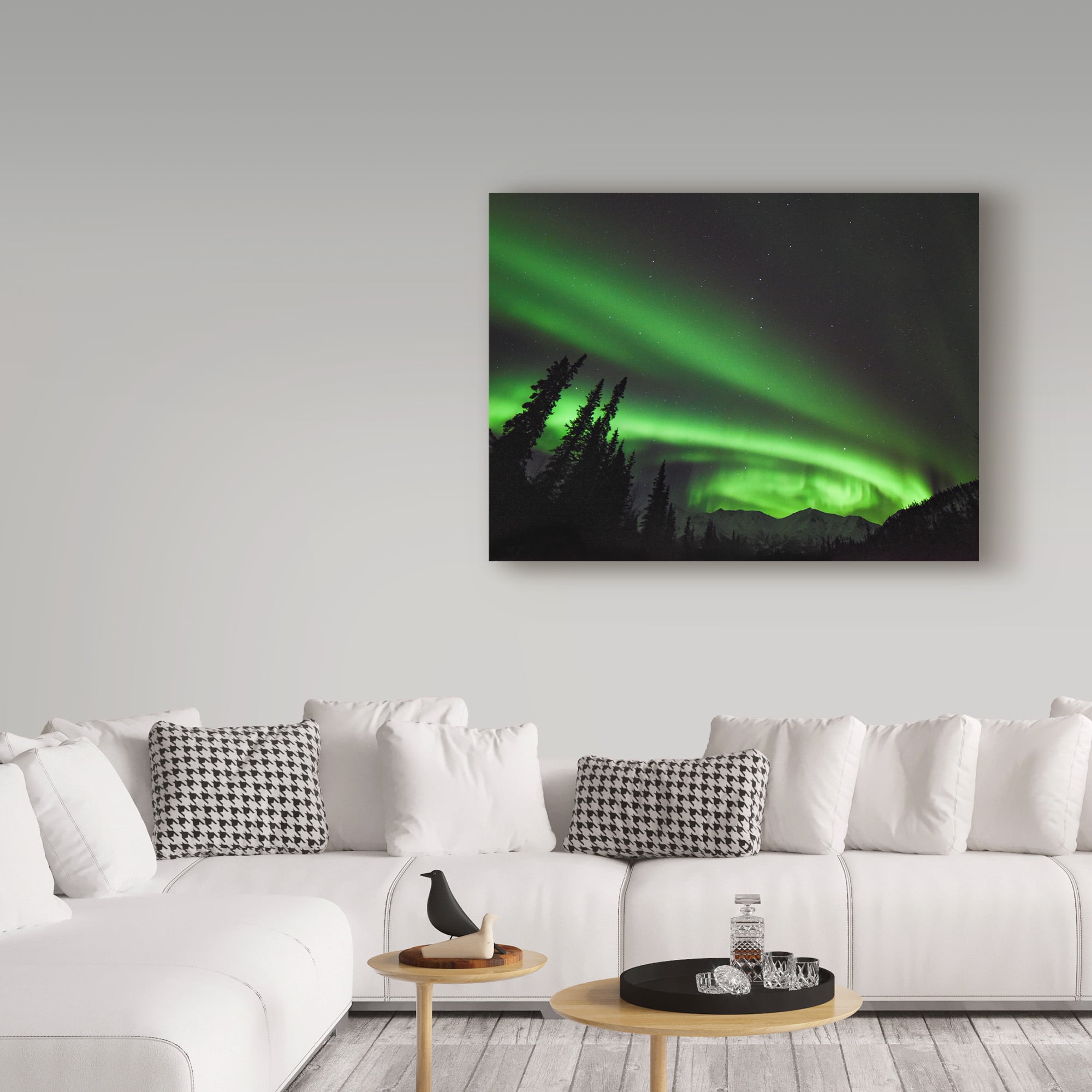 Trademark Fine Art 'Circles Of Wonder' Canvas Art by Brenda Petrella Photography Llc