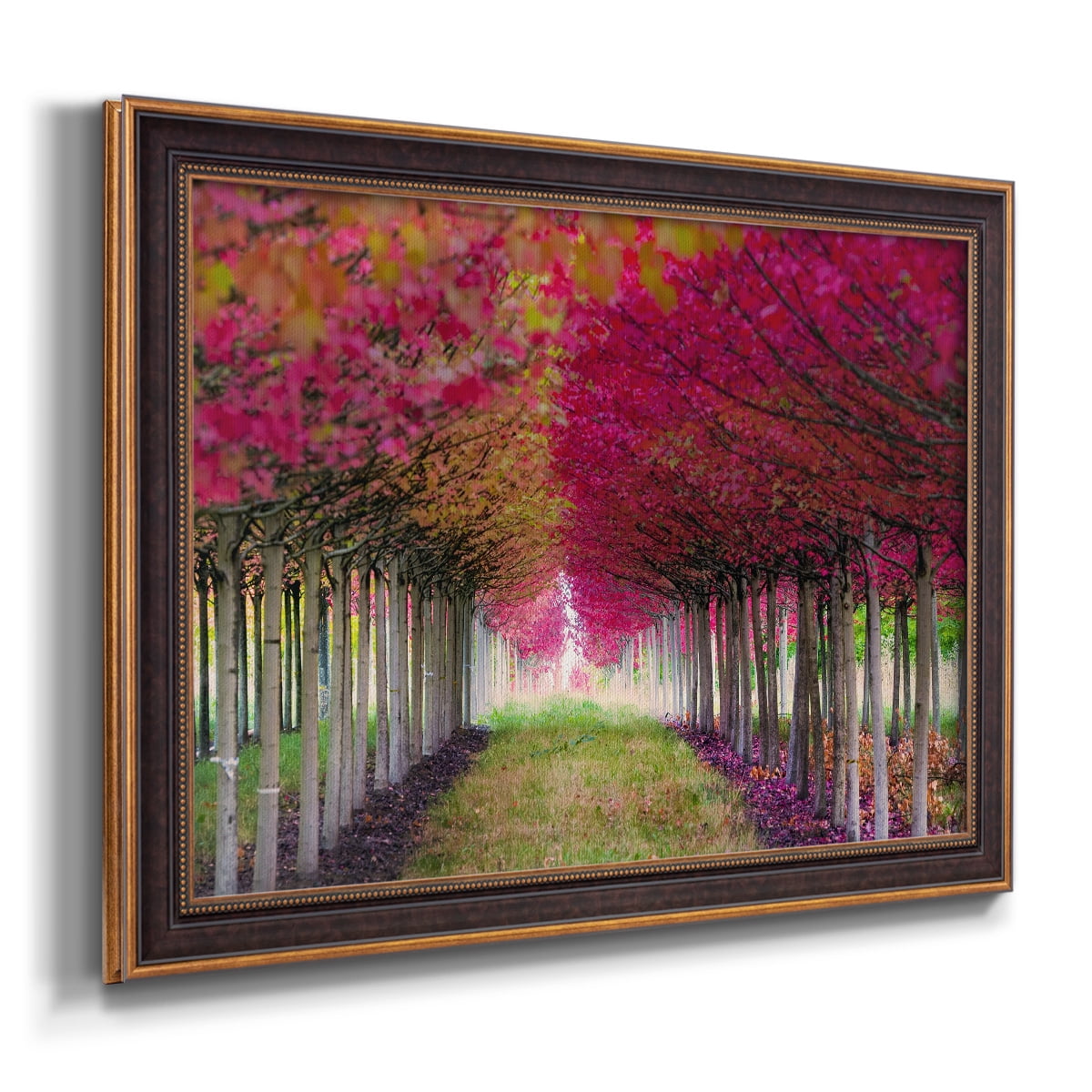 Forest Magic Premium Framed Canvas- Ready to Hang