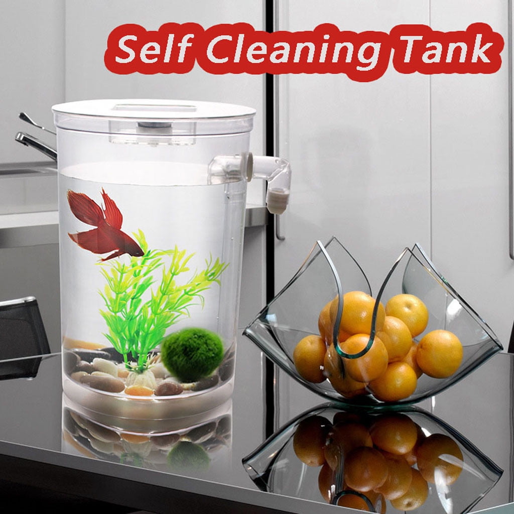 self cleaning and feeding fish tank