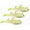 Shiner Chartreuse Silver, variant on Storm WildEye Swim Shad 6" Fishing Lure 7/8oz Shiner Chartreuse Silver 3 Pcs