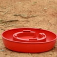 thumbnail image 4 of Methold Alimentador de agua para pájaros de 3L, forma de tetera, vaso de plástico para beber agua de pollo, pájaro, codorniz, aves de Suministros de alimentación y agua para mascotas, 4 of 6