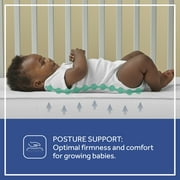 Sealy Baby Ultra Rest 2-Stage Antibacterial Baby Crib Mattress and Toddler Mattress, 204 Coil