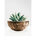 thumbnail image 2 of SD Graphics Studio 25x32 Black Ornate Wood Framed with Double Matting Museum Art Print Titled - Succulent in Gold Pot II, 2 of 4