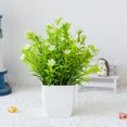 thumbnail image 1 of YAOMOBB Simulation Bonsai Mini Artificial Potted Plant Realistic Fade Free Decor Easy Care UV resistant Table Centerpiece, 1 of 6
