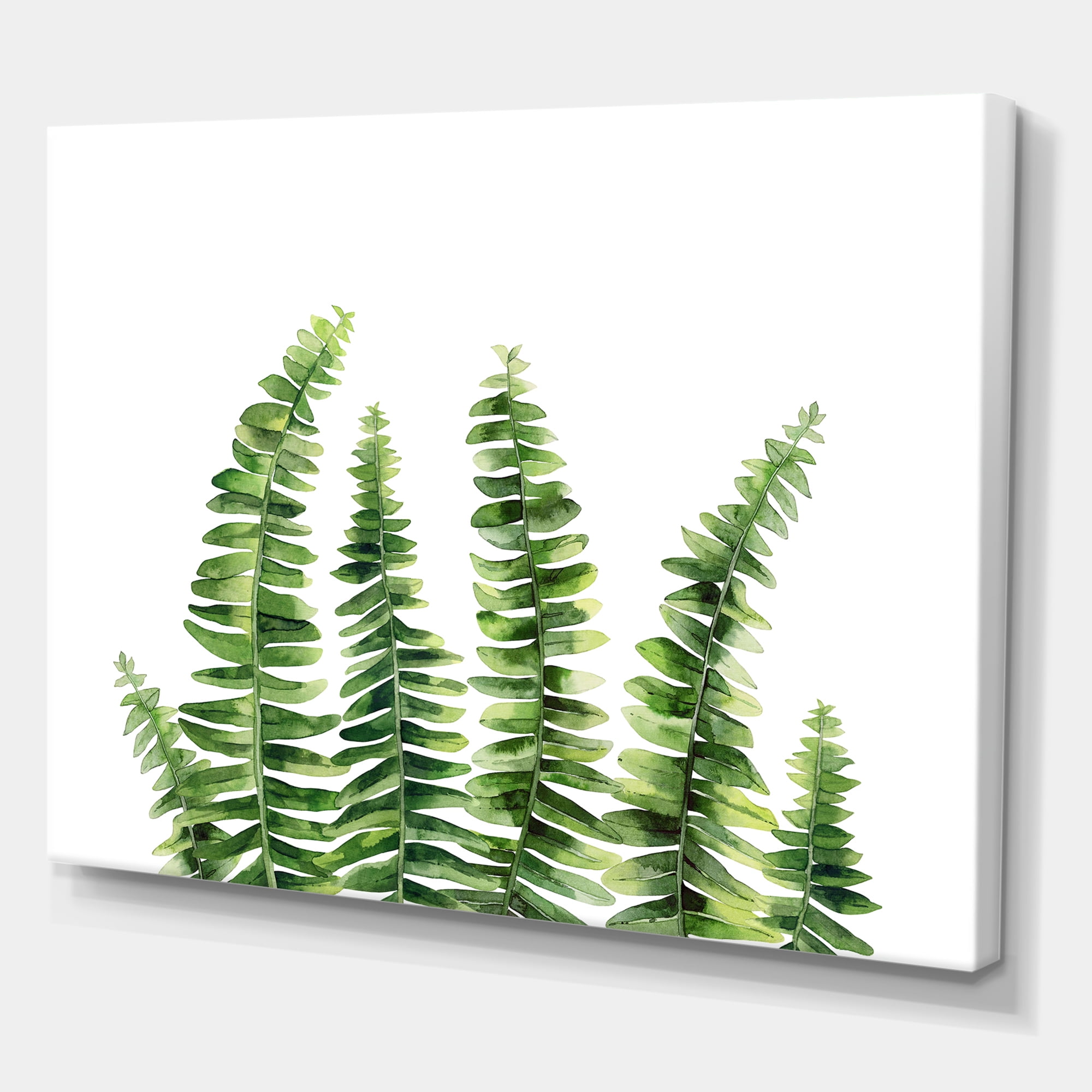 Designart ' Fern Plant Leaves Detail II ' Farmhouse Canvas Wall Art Print