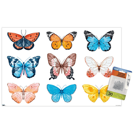 Watercolor Butterflies 14.72" x 22.37" Poster by Trends International