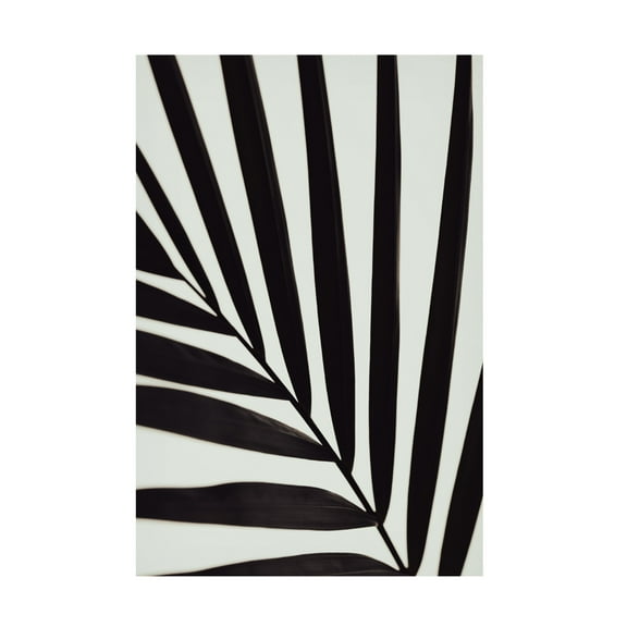 Trademark Fine Art Pictufy Studio Graphic Palm Leaf 1 Canvas Wall Art