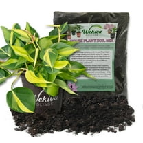 Brasil Philodendron and Soil Mix Combo - Live Plant in a 4 Inch Pot with 1 Quart Houseplant Soil Mix - Philodendron Erubescens with Custom Soil Blend