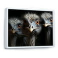 thumbnail image 2 of Designart "Chiaroscuro Mystery Of Ostriches" Ostriches Floater Framed Canvas Art Print, 2 of 5