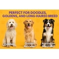 thumbnail image 4 of Poodle Pet Round Soft Bristle Hair Brush Pet Grooming Tool for Dogs & Cats, Purple, 4 of 10