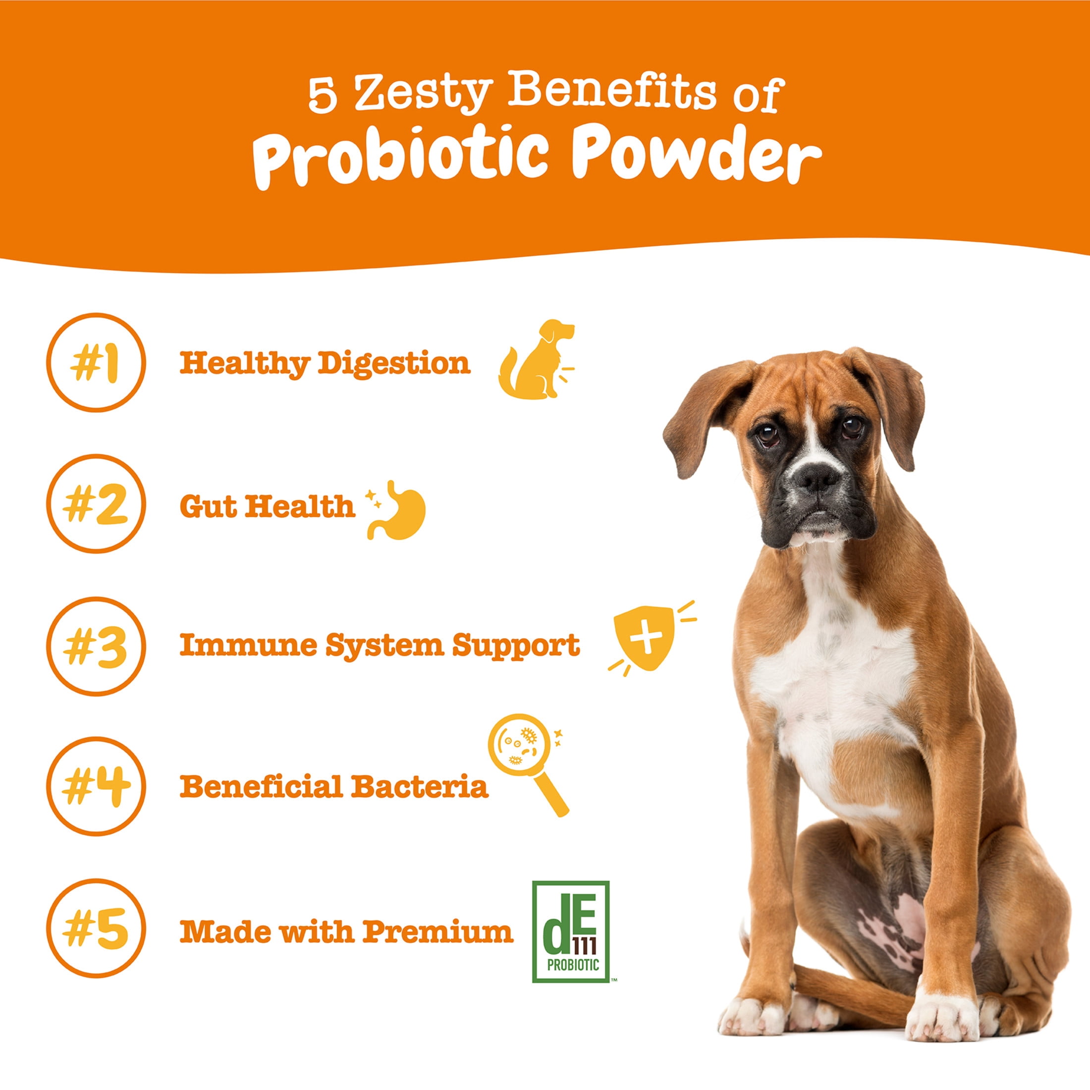(2 pack) Zesty Paws Probiotic Powder Pumpkin Flavor Dog Supplement, 150g