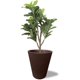 thumbnail image 5 of Maceta Plastico Redonda con Drenaje, 38 cm x 33 cm cafe 6.49 pulg Elly Decor ED-MRP01WH, 5 of 11