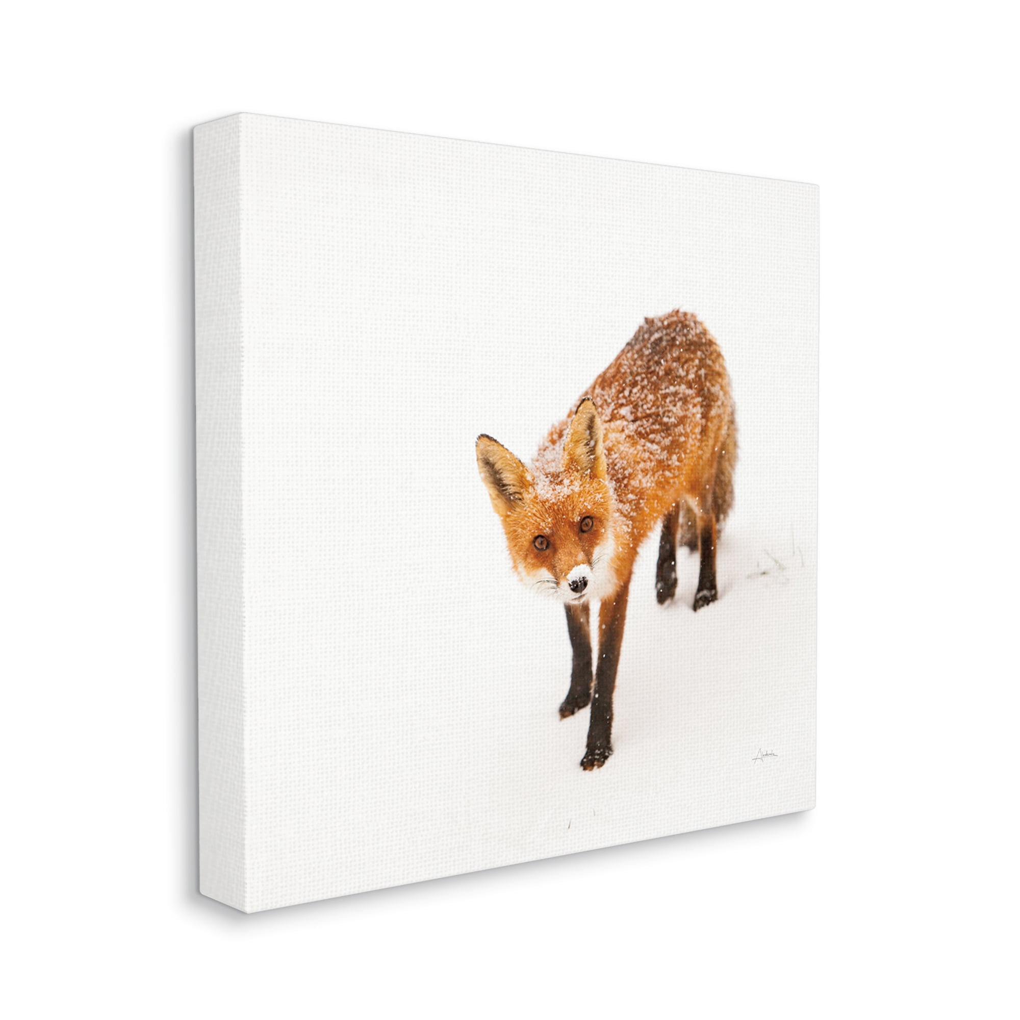Stupell Industries Fox Stepping Snowy Landscape Animals & Insects Photography Gallery Wrapped Canvas Print Wall Art, 17 x 17