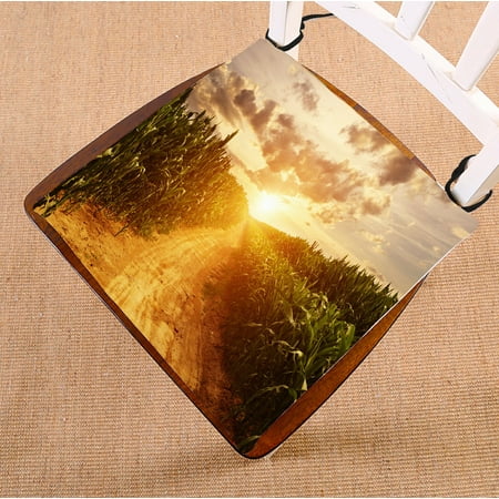 

PHFZK Landscape Chair Pad Skyline and Corn Field Harvest Seat Cushion Chair Cushion Floor Cushion Two Sides Size 18x18 inches