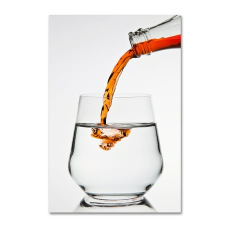 Trademark Fine Art 'Mix It Baby' Canvas Art by Christian Pabst