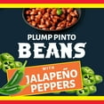 thumbnail image 5 of Ranch Style Pinto Beans With Jalapeno Peppers, Canned Beans, 15 oz., 5 of 8