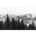 thumbnail image 3 of Nature Magick 24x17 Black Modern Framed Museum Art Print Titled - Clouds in the Forest Black and White, 3 of 5