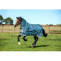 Amigo AmEco Bravo 12 Plus Turnout 100g 78 Teal