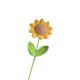 thumbnail image 4 of Girasol tejido a mano terminado, flor artificial, tejido de lana hecho a mano, girasol, tulipán, rosa, regalo, 4 of 6