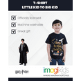 thumbnail image 2 of Harry Potter Birthday Vintage Wash T-Shirt Little Kid to Big, 2 of 4