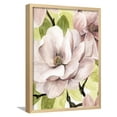 thumbnail image 1 of Blush Magnolia II, Botanical Framed Art Print Wall Art by Grace Popp Sold by Art.Com, 1 of 5