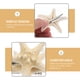 thumbnail image 2 of 2 pinzas para el pelo de estrella de mar de cinco puntas hechas a mano, accesorios para el pelo de playa para mujeres y niñas, tamaño aproximado de 5 a 10 cm., 2 of 5