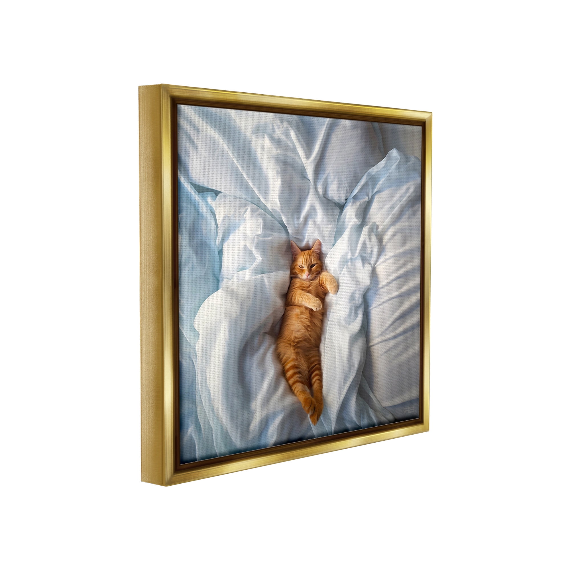 Stupell Industries Sprawled Orange Cat Animals & Insects Painting Gold Floater Framed Canvas Art Print Wall Art, 25 x 25