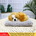 thumbnail image 1 of Xihbxyly Ofertas de Hoy Juguete de Mapache Simulado Juguete Modelo Simulado Regalo para Niños, 1 of 4