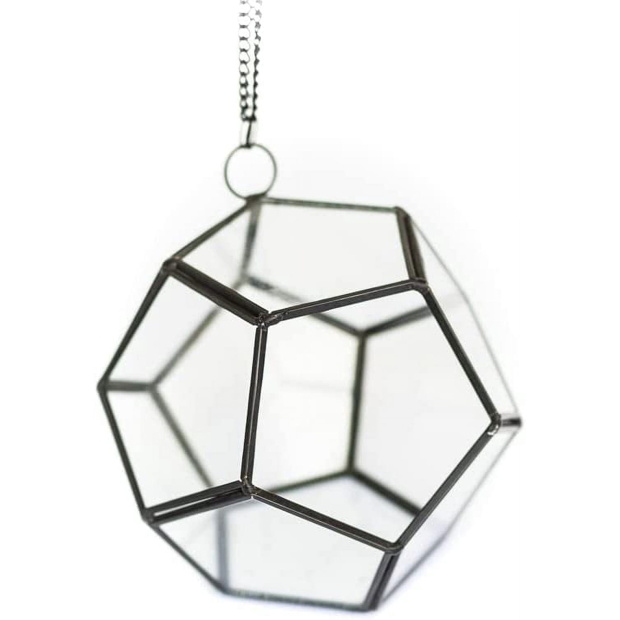 Air Plant Shop Glass Pentagon Terrarium-Air Plant Tillandsia Holder - Live Tillandsia Succulent House Plant - Home and Garden Decor - Easy Care Indoor Outdoor Plants