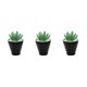 thumbnail image 4 of Bonsái artificial Toystoory con macetas PVC suculentas Tipo 1, 4 of 6