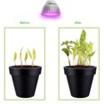 thumbnail image 3 of Plant LED Growth Lights Full Spectrum for Flower Plant Garden Greenhouse Hydroponic Indoor Plants Growing Lamp Light, 3 of 7
