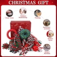 thumbnail image 3 of Set de juguetes para perros EXPAWLORER, 15 unidades, para la dentición de todas las razas, 3 of 7