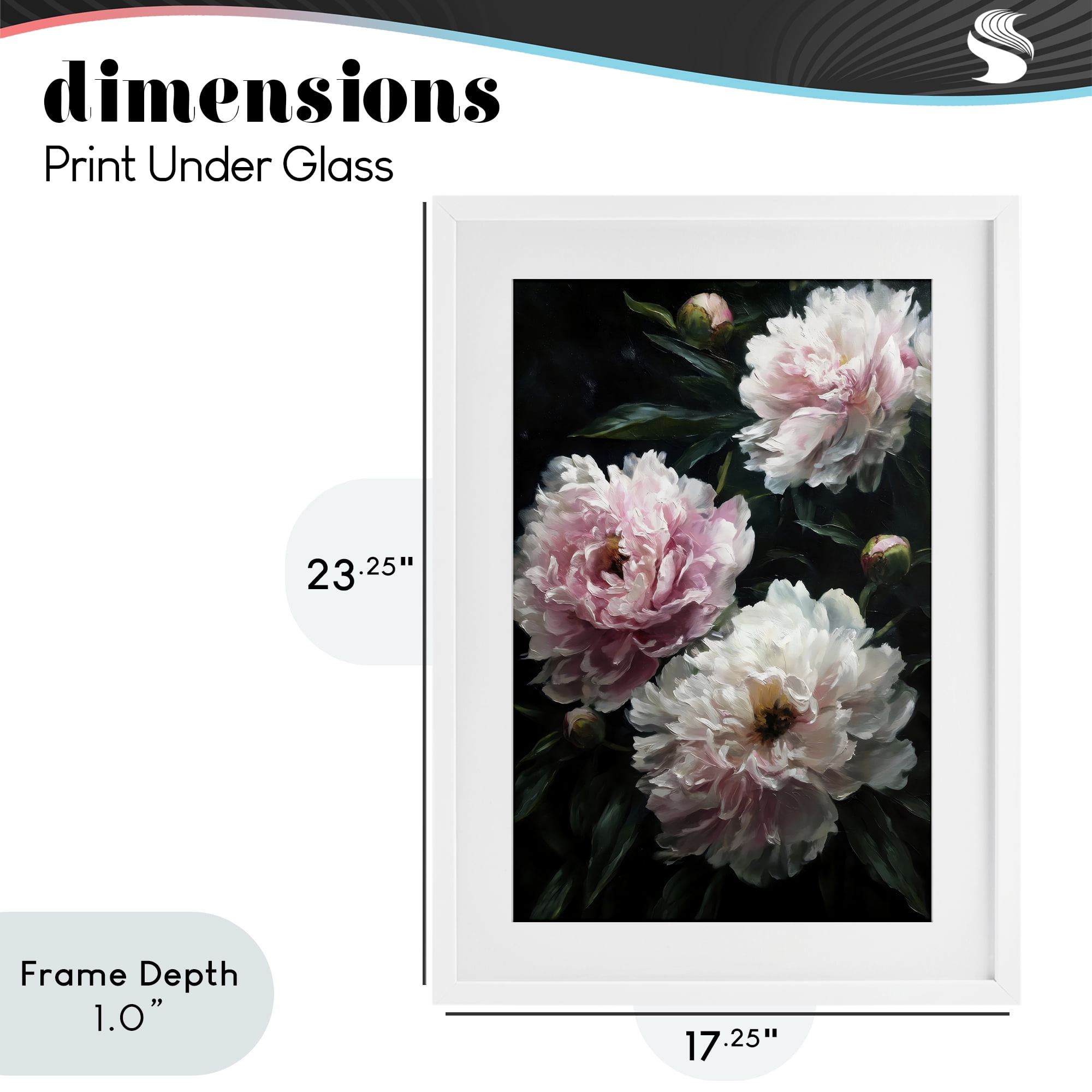 Stupell Industries Soft Pink Peony Garden White Framed Print Under Glass, design by Petal Prints Design