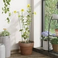 thumbnail image 2 of vidaXL Garden Plant Stakes Plant Support Stake Stick 20 Pcs Dark Green Steel, 2 of 22