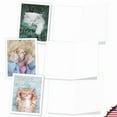 thumbnail image 4 of 20 All Occasion Blank Cards Assorted (10 Designs, 2 Each) - Fluffy Furballs All Occasion (4" x 5.12") AM7168OCB-B2x10, 4 of 6