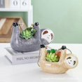 thumbnail image 3 of Air Plants Hanging Planter Cute Sloth Design for Wall, 3 of 5