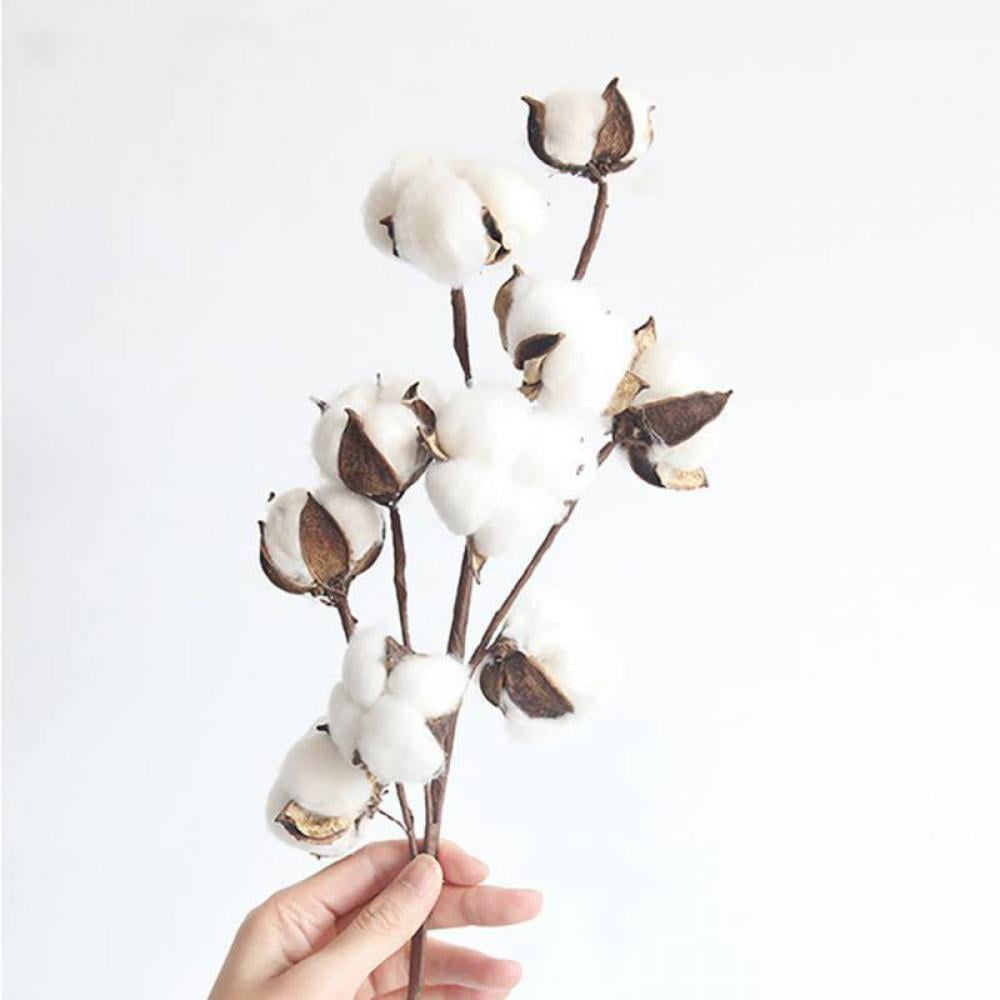 Cotton Stems, Natural Cotton Flowers Dried Cotton Picks, Fake Cotton
