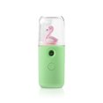 thumbnail image 2 of Pulverizador facial de la niebla 30 ml Cuidado de la piel Humidificador USB Pollo de mano Pocket Cool Spray de nebulizador de nebulizador para salón verde Tipo 2 AweSitey HA059145-07B, 2 of 7
