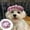Rose, variante sur Chapeaux pour Animaux Mode Chien et Chat Casquette de Baseball Artiste Français pour Fête Anniversaire Mariage et Événements de Photographie