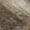 Brown, variant on Dalyn Rugs Machine Washable Indoor/Outdoor Chantille Blush 10' x 14' Rug