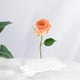thumbnail image 5 of Soporte de base BLESIY para arreglos florales Rectángulo, 5 of 7