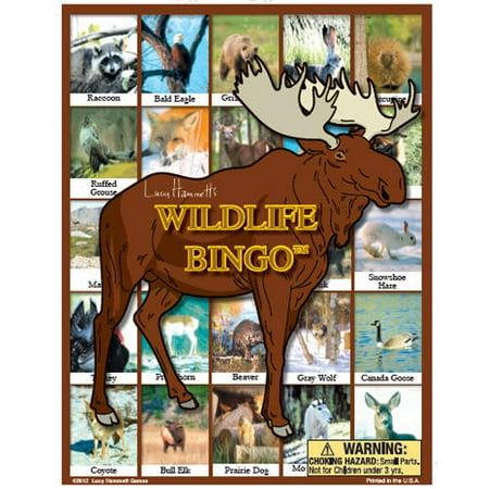 Life Picture Bingo - Lucy Hammett Wildlife Bingo