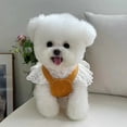 thumbnail image 2 of Adorable Pet Clothes for Cats & Small Dogs - Charming Spring & Autumn Wear, 2 of 2