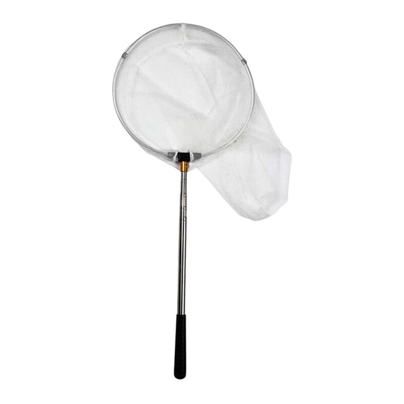 Red de pesca telescópica ligera para atrapar peces gato mariposa. Polo de plata