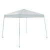 ALEKO Iron Foldable Gazebo Canopy for Outdoor Events - 8x 8 ft - White Color