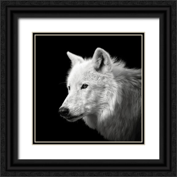 Meermann, Christian 12x12 Black Ornate Wood Framed with Double Matting Museum Art Print Titled - White Wolf #2