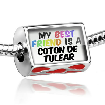 Bead My best Friend a Coton de Tulear Dog from Madagascar Charm Fits All European (Best Brush For Coton De Tulear)