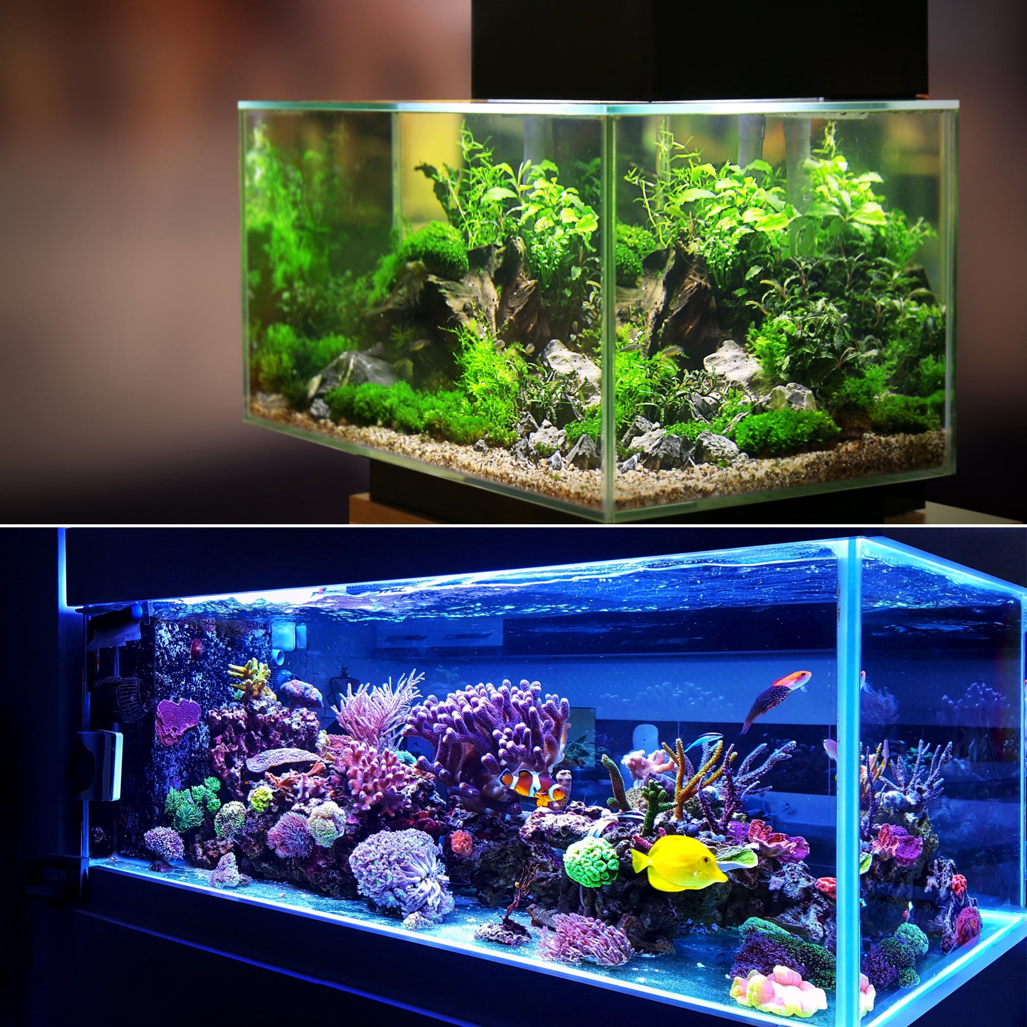 Unique Bargains Aquarium Plants Set Fish Tank Plants Mushroom Coral Lotus Leaf Fake Fish Tank Decor Ornament Plants