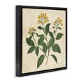 thumbnail image 2 of Stupell Industries French Country Yellow Bushels Botanical Illustration Black Floating Frame Canvas Art, 18 x 18, by Petals Prints Design, 2 of 7